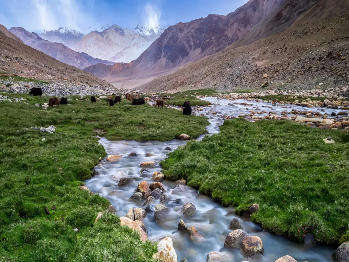 Manali to Ladakh Through the Passess